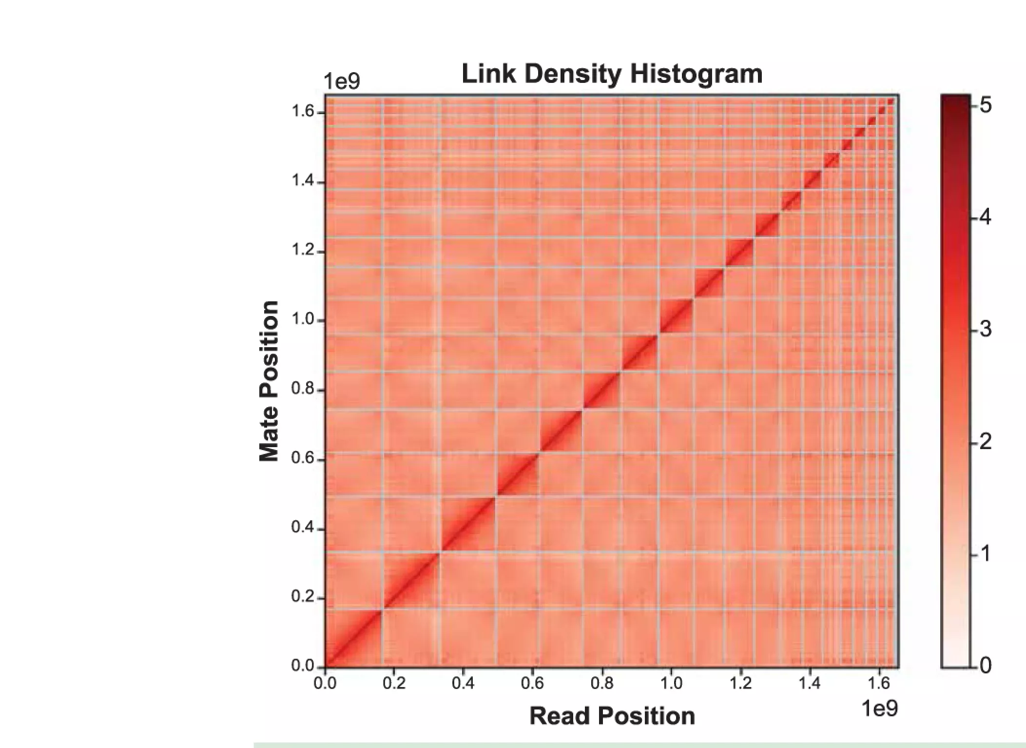 논문 Figure 4: Hi-C 접촉 지도(Link Density Histogram). 대각선을 따라 나타나는 19개의 진한 사각 블록이 각각 하나의 염색체에 해당한다