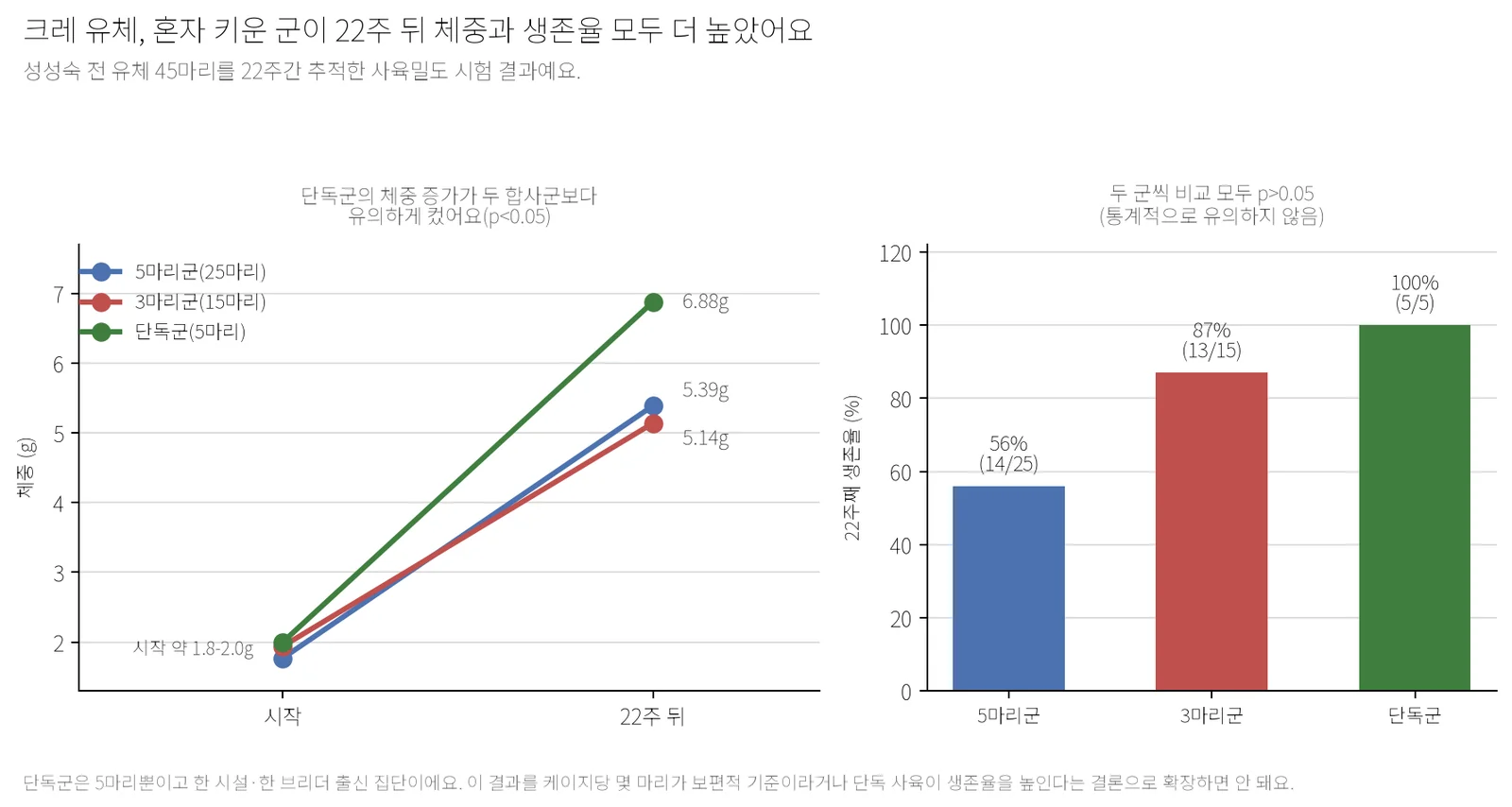 사육밀도별 22주 체중 변화와 생존율을 보여주는 두 개의 그래프. 왼쪽은 5마리군이 1.77g에서 5.39g, 3마리군이 1.94g에서 5.14g, 단독군이 2.00g에서 6.88g으로 늘어난 꺾은선 그래프이고, 오른쪽은 22주째 생존율이 5마리군 56%(14/25), 3마리군 87%(13/15), 단독군 100%(5/5)였음을 보여주는 막대그래프