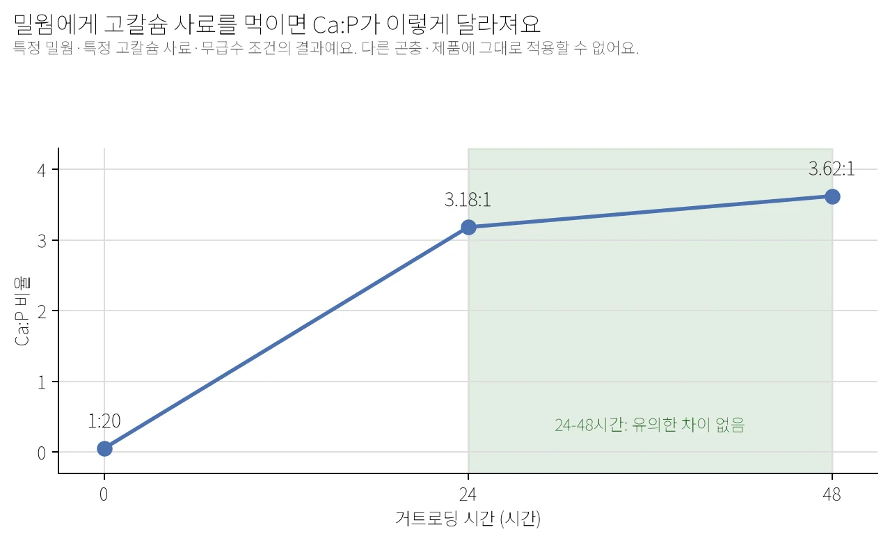 밀웜에게 고칼슘 사료를 거트로딩 시간별로 먹인 뒤 Ca:P 비율 변화를 보여주는 꺾은선그래프. 0시간 1:20에서 24시간 3.18:1로 크게 오르고, 48시간 3.62:1은 24시간과 통계적으로 유의한 차이가 없어 초록색으로 음영 표시했다