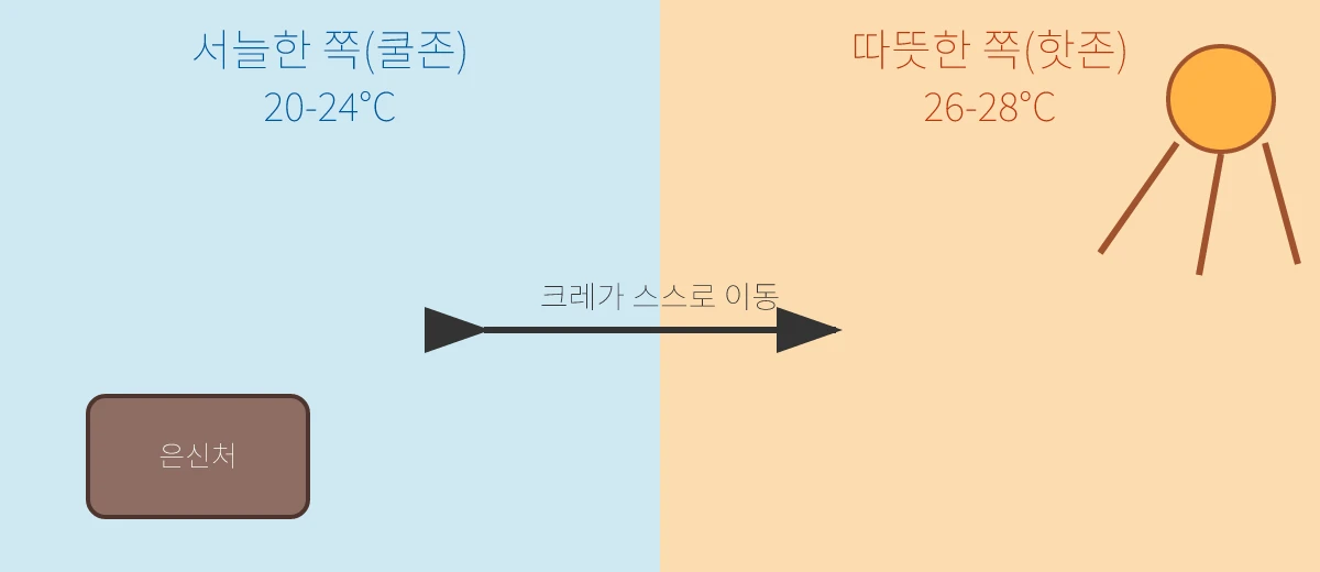크레 사육장 온도 구배 개념도. 왼쪽은 서늘한 쪽(쿨존) 20-24°C, 오른쪽은 따뜻한 쪽(핫존) 26-28°C이며, 가운데 화살표는 크레가 두 구역을 오갈 수 있음을 나타낸다