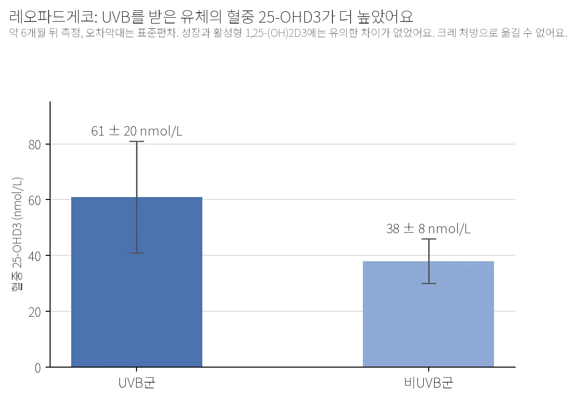 레오파드게코 UVB군과 비UVB군의 혈중 25-OHD3 농도를 비교한 막대그래프. 약 6개월 뒤 UVB군은 61±20nmol/L, 비UVB군은 38±8nmol/L로 UVB군이 더 높았다
